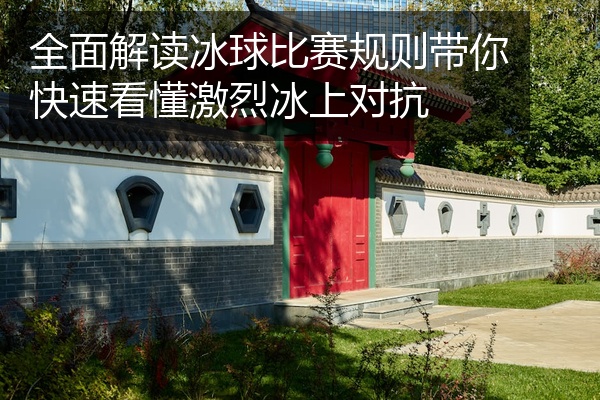 全面解读冰球比赛规则带你快速看懂激烈冰上对抗